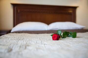 Фото номера Двухместный номер с 2 отдельными кроватями Отель Hotel Prezydent Krynica Zdrój г. Крыница-Здруй 5
